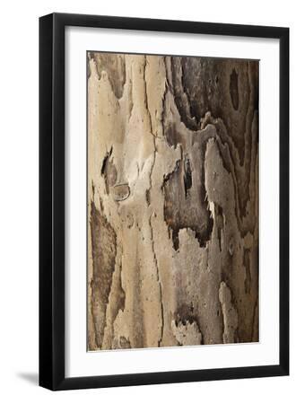 Driftwood Lines - Contour - Black Framed Art Print Wall Art, 12x18 Driftwood Lines - Contour - Black Framed Art Print Wall Art, 12x18