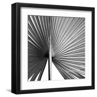 Granada Noir - Black Framed Art Print Wall Art, 12x12 Granada Noir - Black Framed Art Print Wall Art, 12x12