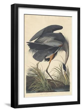 Great blue Heron, 1834 - Black Framed Art Print Wall Art, 12x18