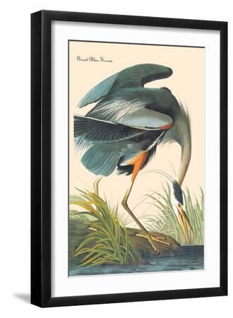 Great Blue Heron - Black Framed Art Print Wall Art, 12x18