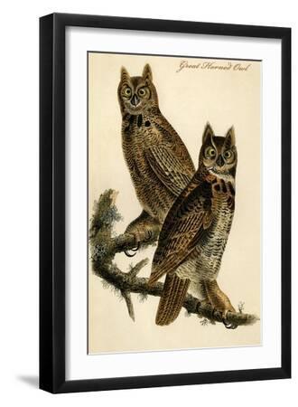 Great Horned Owl - Black Framed Art Print Wall Art, 12x18