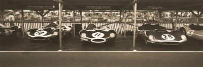 Jaguar D-Type / Tojeiro - Giclee Print, 36x12