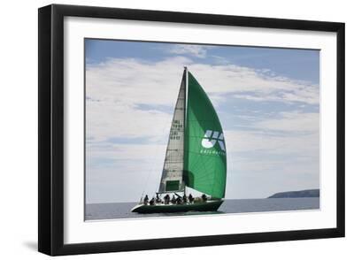 Marine Quest - Black Framed Art Print Wall Art, 18x12