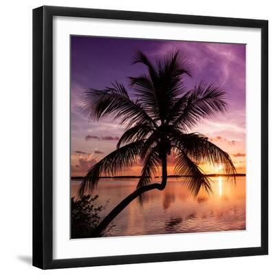 Palm Paradise at Sunset - Florida - USA - Black Framed Art Print Wall Art, 16x16