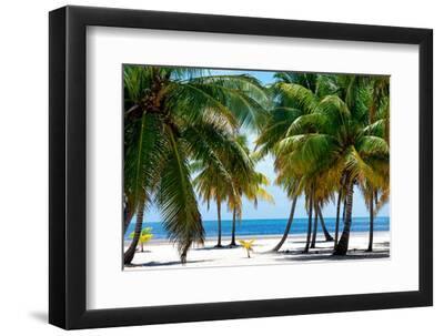 Paradise Beach - Florida - USA - Black Framed Art Print Wall Art, 12x8 Paradise Beach - Florida - USA - Black Framed Art Print Wall Art, 12x8