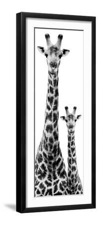 Safari Profile Collection - Giraffe and Baby White Edition IV - Black Framed Art Print Wall Art, 8x24