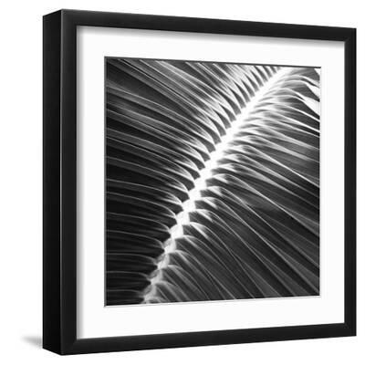 Valladolid Noir - Focus - Black Framed Art Print Wall Art, 12x12