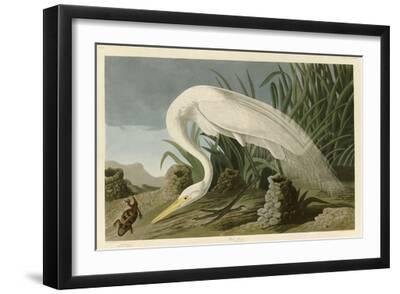 White Heron - Black Framed Art Print Wall Art, 18x12