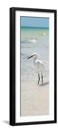 White Heron - Florida - Black Framed Art Print Wall Art, 8x24